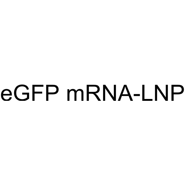 eGFPmRNA-LNP